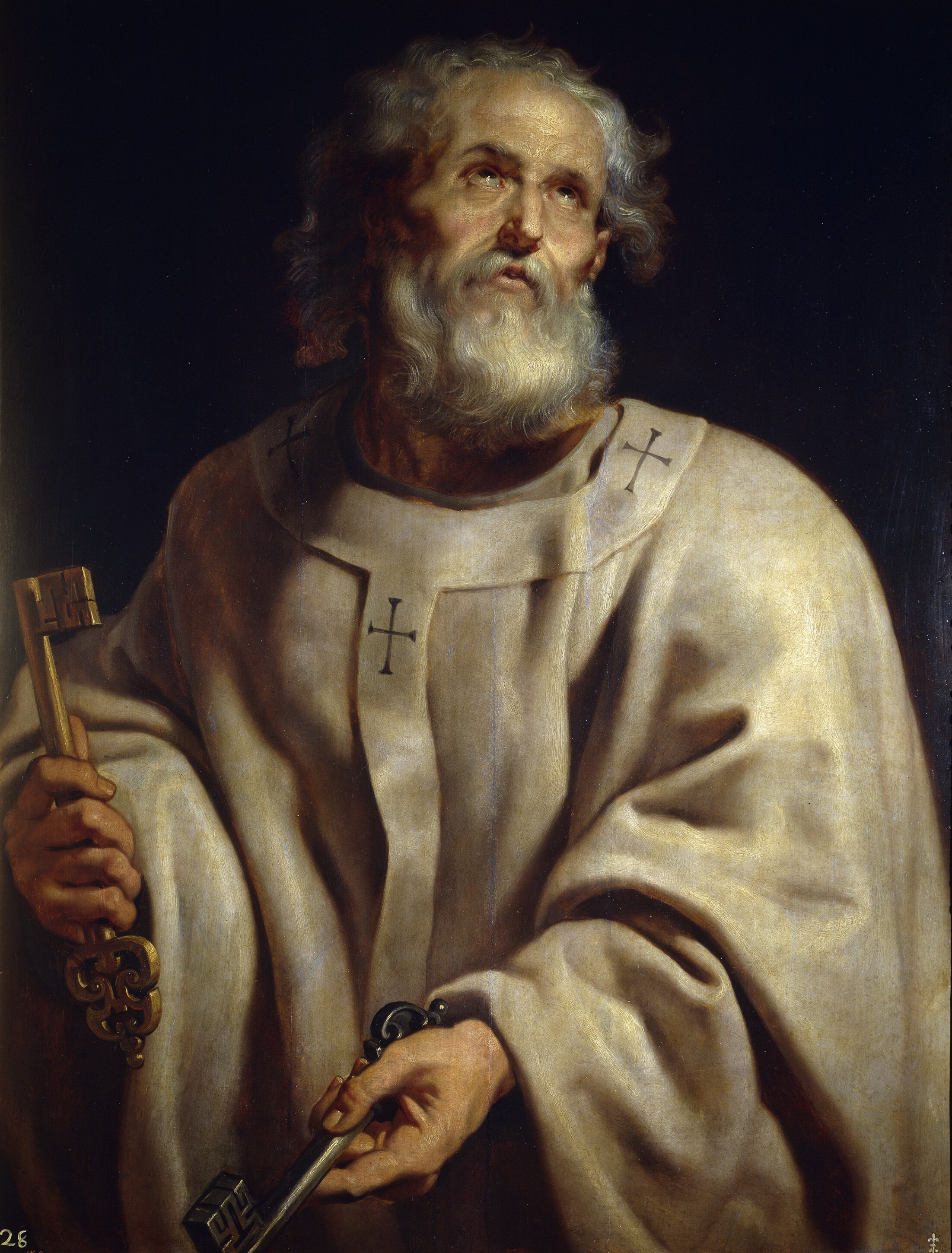 La gerarchia della Chiesa cattolica. Il Papa