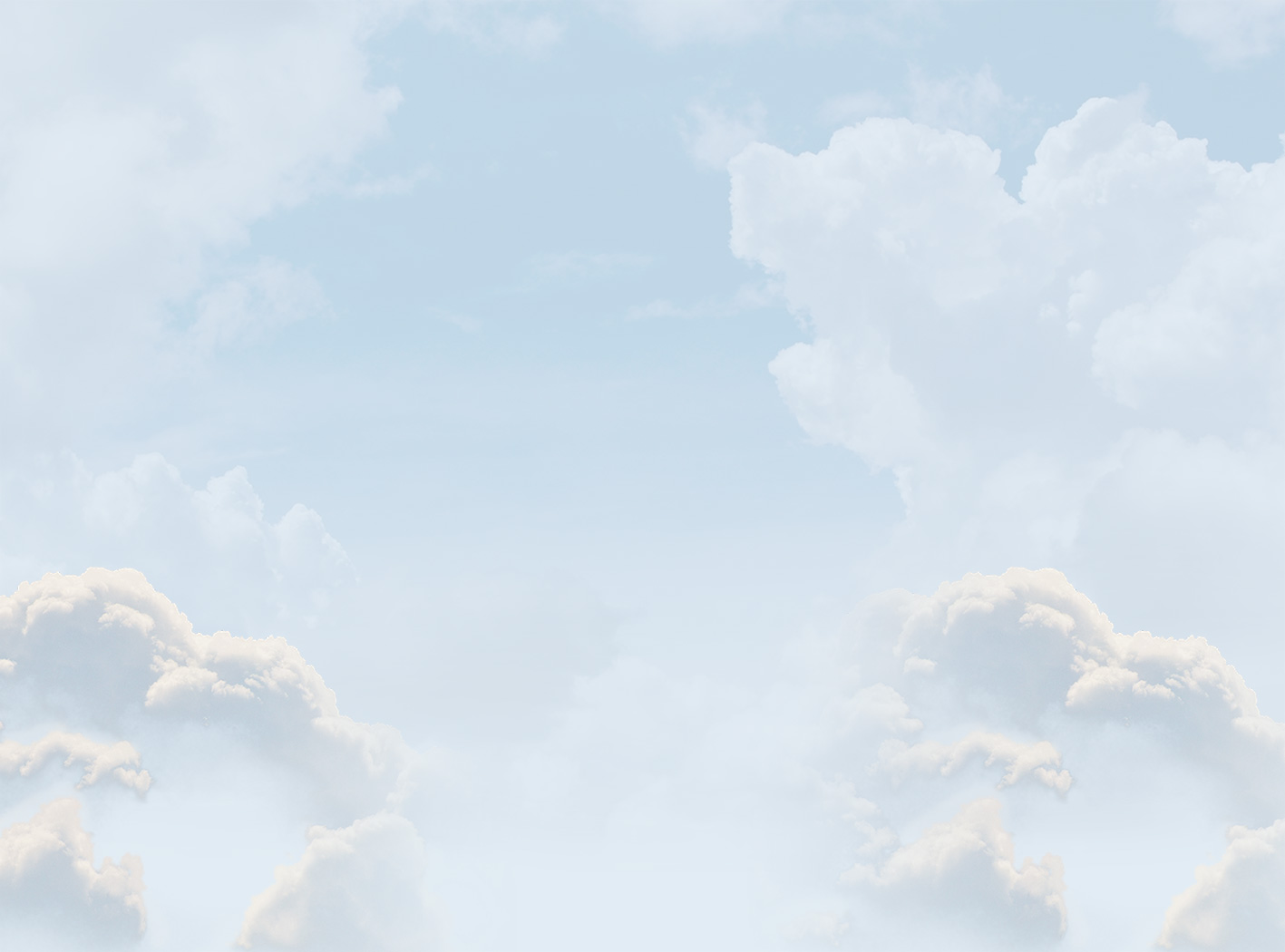 cielo_soto-dd.jpeg cielo_soto-dd.jpeg