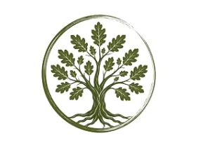 La meditazione naturale con gli alberi