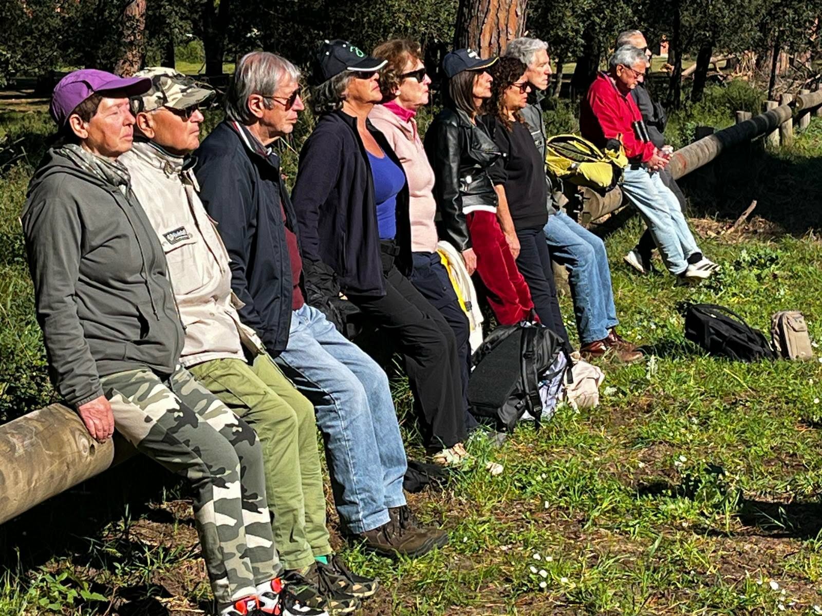 Bagni di foresta