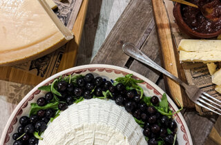 img_2836.jpeg img_2836.jpeg