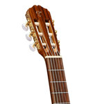 takamine-gc5-ce-natural