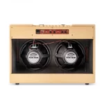 blackstar-debut-100-r-2x12