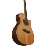 eko-mia-a-400ce-12-corde