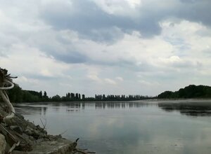 img_1265.jpeg