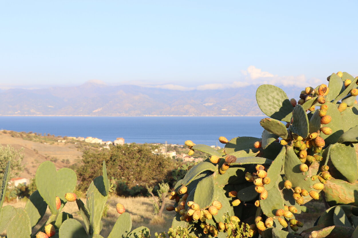 parco agorà1.jpeg parco agorà1.jpeg