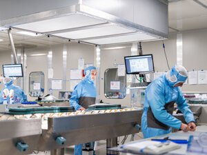 _dsc4662.jpeg _dsc4662.jpeg