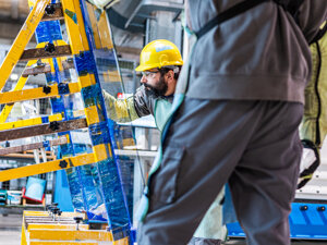 _dsc4950.jpeg _dsc4950.jpeg