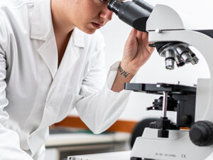 _dsc4370.jpeg _dsc4370.jpeg