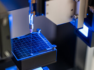 _dsc5439.jpeg _dsc5439.jpeg