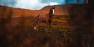 img_5965.jpeg
