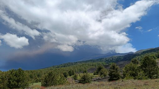 immagine whatsapp 2025-08-14 ore 12.17.53_2e378ae9.jpeg immagine whatsapp 2025-08-14 ore 12.17.53_2e378ae9.jpeg