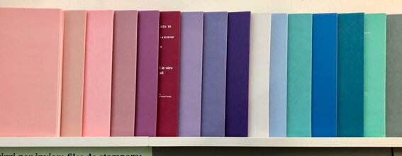 immagine whatsapp 2023-10-10 ore 15.09.56_7d36a5ce.jpeg