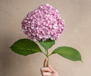 Commercial and advertising photographer Rome Commercial and advertising photographer Rome