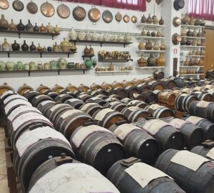 Food experiences in Modena