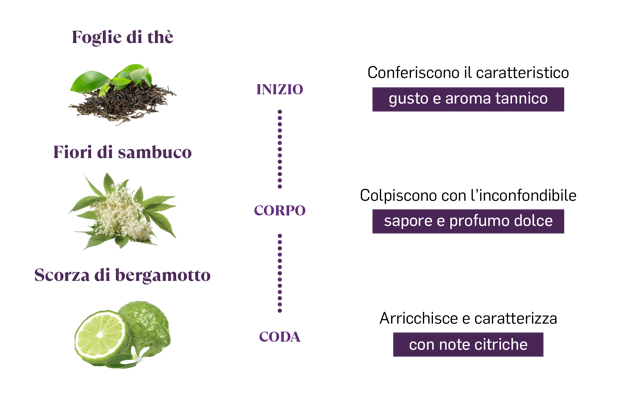 grafica composizione ib_v grafica composizione ib_v