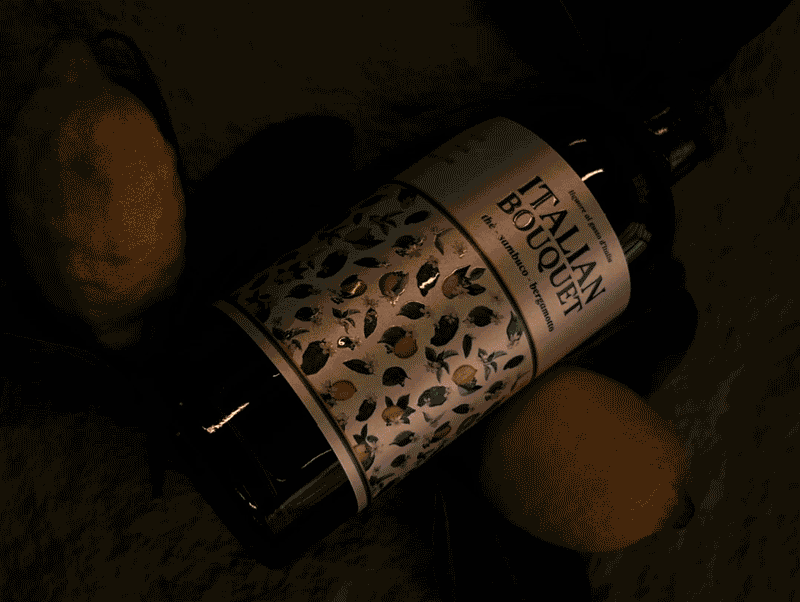 pres-video-ibq pres-video-ibq