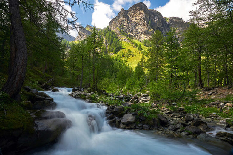 2866993_m.jpeg 2866993_m.jpeg