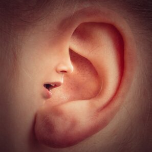 oreille.jpeg