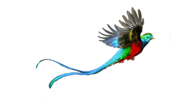 lia delande logo sans