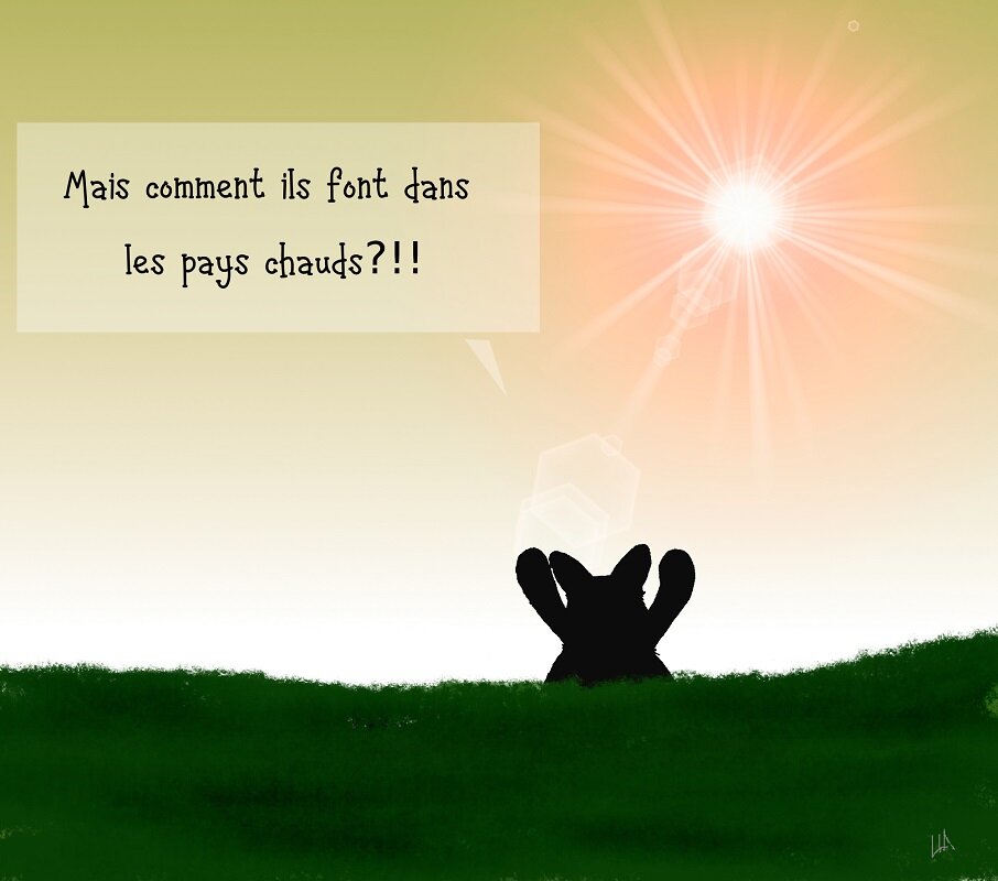 renc3a94o-copie.jpeg