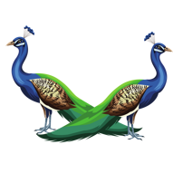 peacocks-6002791_1280