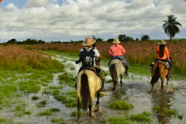 screen shot 2025-07-22 at 12.16.34 screen shot 2025-07-22 at 12.16.34