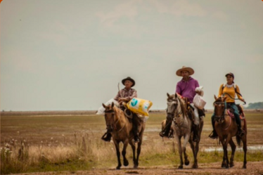 screen shot 2025-07-22 at 12.15.50 screen shot 2025-07-22 at 12.15.50