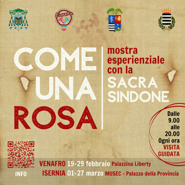 come una rosa volantino quadrato come una rosa volantino quadrato