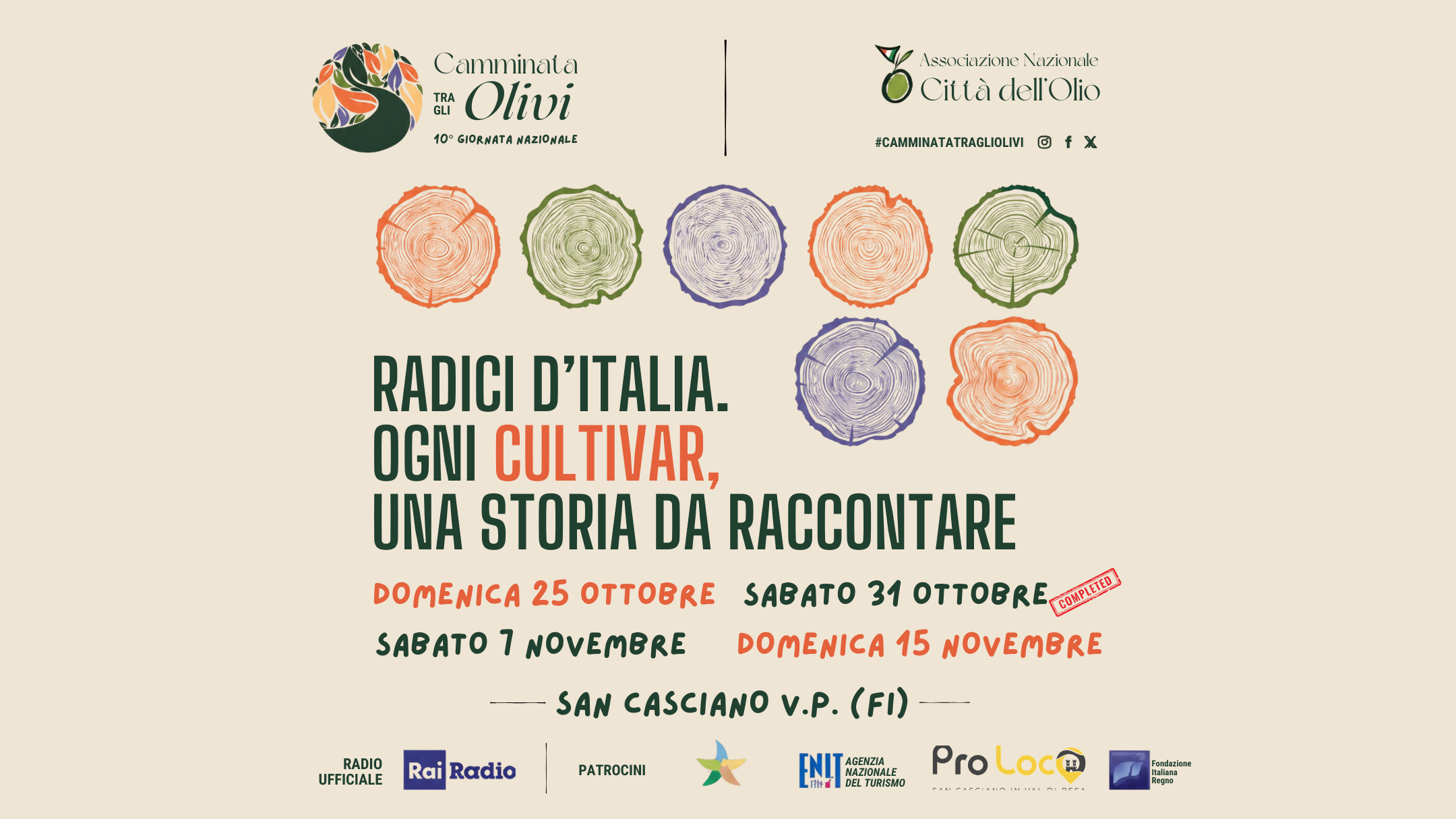 Camminate tra gli ulivi