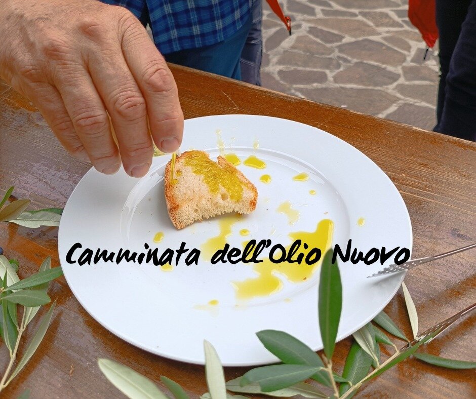 Ultima occasione per la tradizionale camminata per olio nuovo EVO