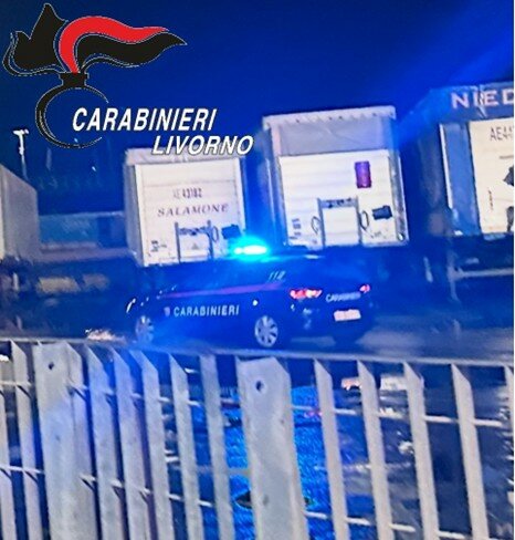 Bloccato dai carabinieri trentenne campano condannato per rapina e tentato omicidio