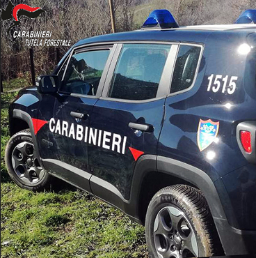 Marciana Marina: arrestato per reati in materia di violazione degli obblighi familiari