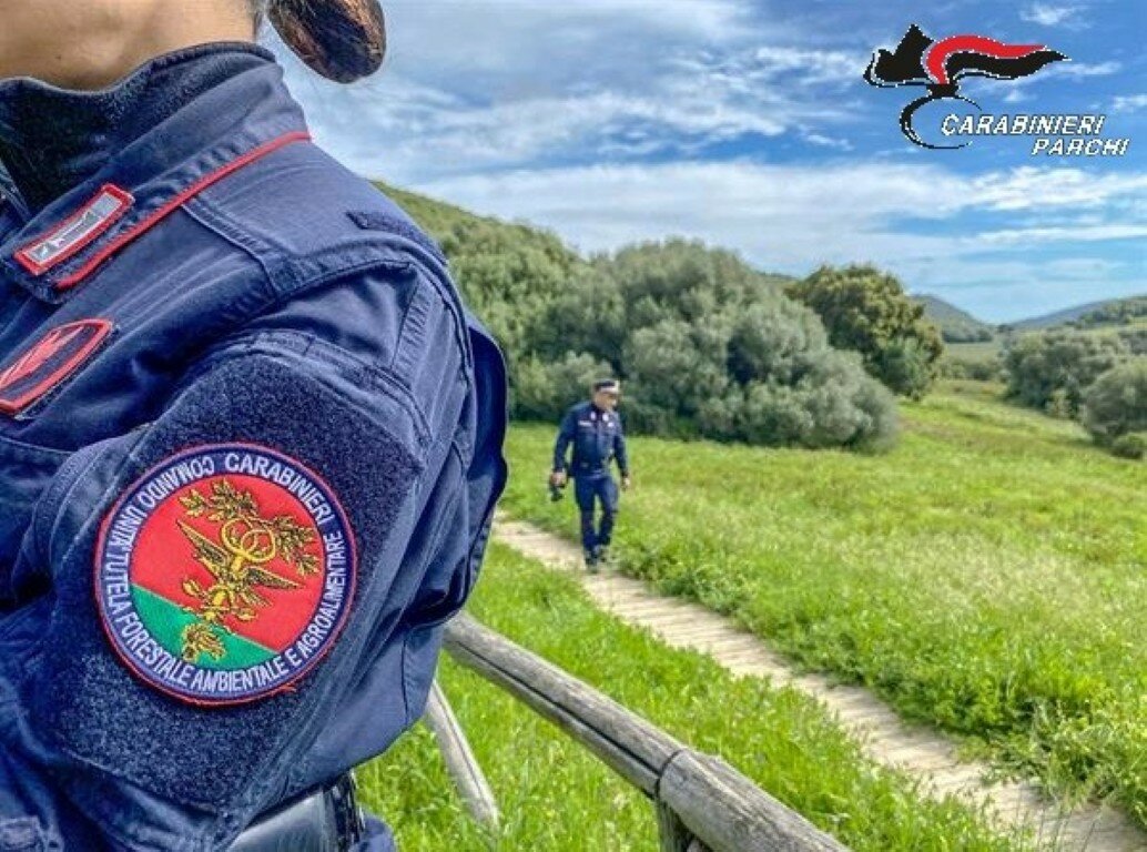 Venturina T.: i forestali a tutela delle nidificazioni sanzionano un trasgressore