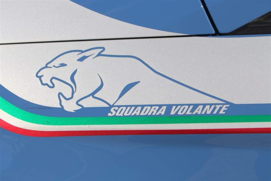 La polizia arresta un giovane straniero per resistenza e lesioni a pubblico ufficiale
