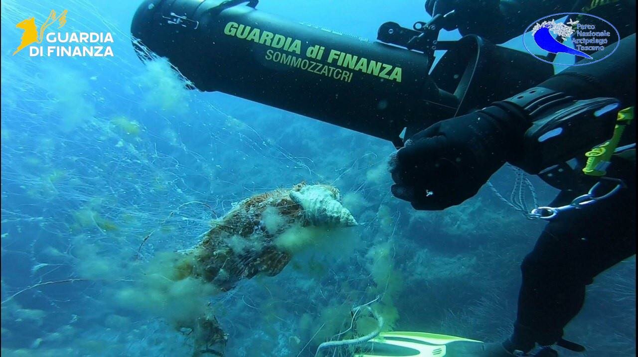Campagna di riqualificazione dei fondali dell&rsquo;isola di Giannutri