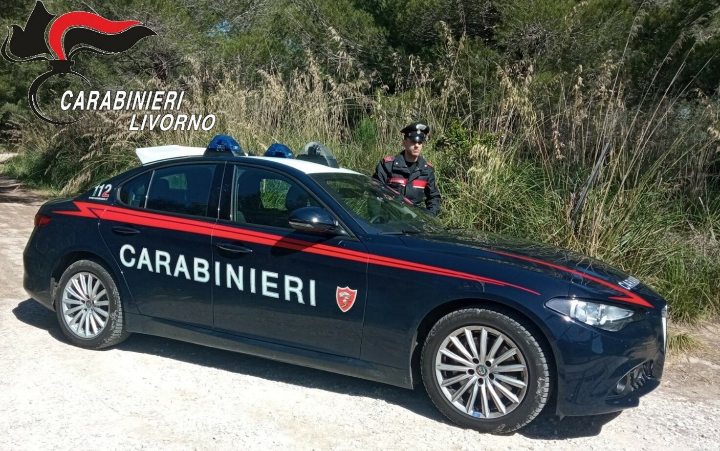 Cecina: denunciato dai carabinieri il responsabile di furto ai danni di un esercizio commerciale