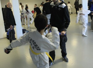 _mg_8550.jpeg _mg_8550.jpeg