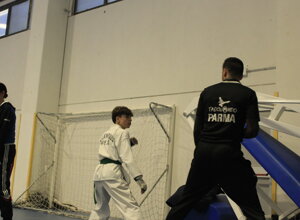 _mg_8795.jpeg _mg_8795.jpeg