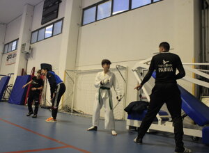 _mg_8805.jpeg _mg_8805.jpeg