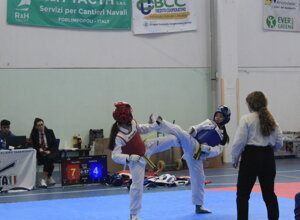 _mg_8707.jpeg _mg_8707.jpeg