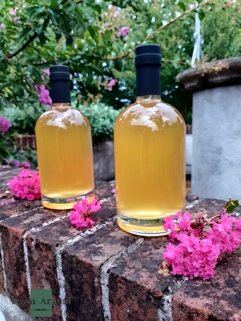 Due bottiglie di idromele su un muretto con fiori rosa, ambiente naturale all'aperto