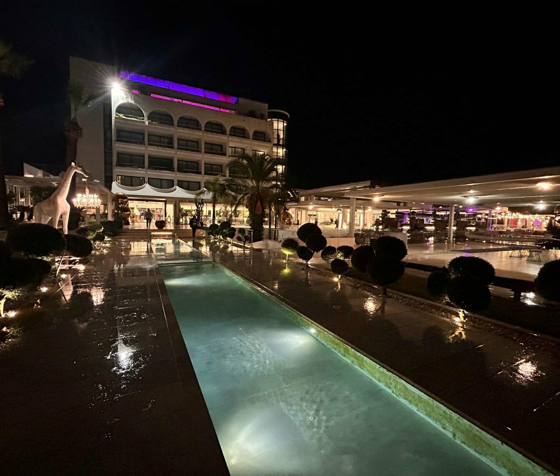 78de893e-ae6b-4f32-a52d-0c727eea90f6.jpeg 78de893e-ae6b-4f32-a52d-0c727eea90f6.jpeg