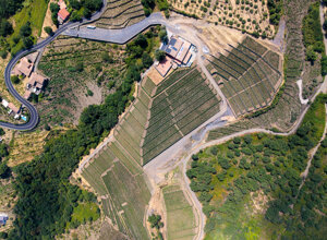 dji_20260804141528_0043_d.jpeg