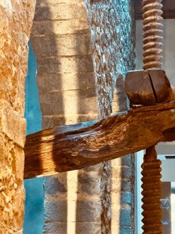 whatsapp image 2026-03-17 at 09.54.25 (2).jpeg