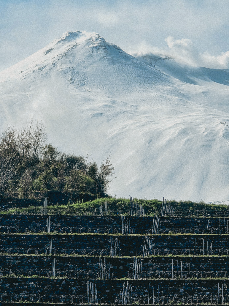 whatsapp image 2026-03-20 at 14.28.33 (6)