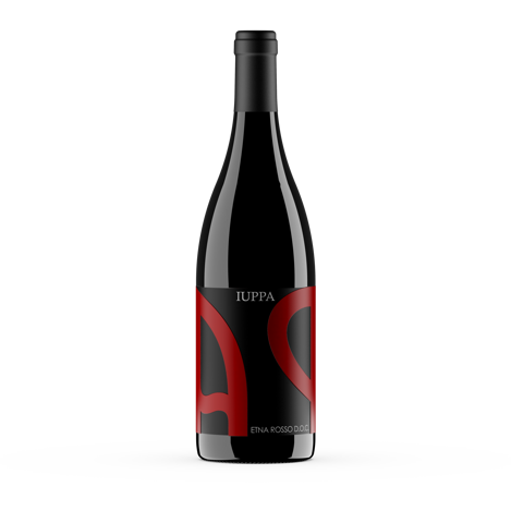 2026.ap rosso