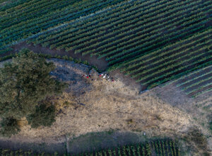 dji_20260808172345_0042_d.jpeg
