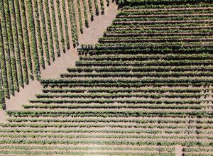 dji_20260804135323_0002_d.jpeg
