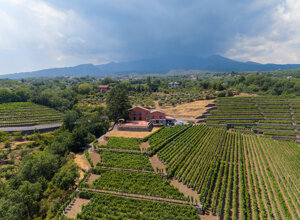 dji_20260804141543_0044_d.jpeg